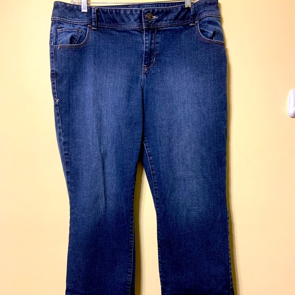 Lane Bryant genius fit 16 Capri